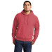 Champion  Reverse Weave  Garment-Dyed Hooded Sweatshirt. GDS101