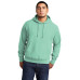 Champion  Reverse Weave  Garment-Dyed Hooded Sweatshirt. GDS101