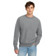Champion  Reverse Weave  Garment-Dyed Crewneck Sweatshirt. GDS149