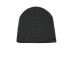 The North Face  Mountain Beanie. NF0A4VUB