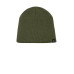 The North Face  Mountain Beanie. NF0A4VUB