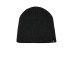 The North Face  Mountain Beanie. NF0A4VUB