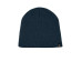 The North Face  Mountain Beanie. NF0A4VUB