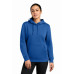 Nike Women's Club Fleece Sleeve Swoosh Pullover Hoodie NKFD9889