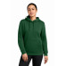 Nike Women's Club Fleece Sleeve Swoosh Pullover Hoodie NKFD9889