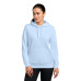 Nike Women's Club Fleece Sleeve Swoosh Pullover Hoodie NKFD9889
