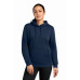 Nike Women's Club Fleece Sleeve Swoosh Pullover Hoodie NKFD9889
