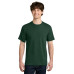 Next Level Apparel Ideal Jersey Tee NL1810