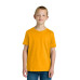 Next Level Apparel Youth Cotton Tee NL3310