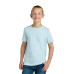 Next Level Apparel Youth Cotton Tee NL3310