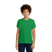 Next Level Apparel Youth CVC Tee NL3312
