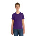Port & Co Youth Fan Favorite Tee. PC450Y