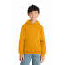 Port & Co Youth Core Fleece Pullover Hooded Sweatshirt PC78YH