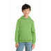 Port & Co Youth Core Fleece Pullover Hooded Sweatshirt PC78YH