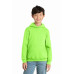 Port & Co Youth Core Fleece Pullover Hooded Sweatshirt PC78YH