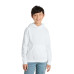 Port & Co Youth Core Fleece Pullover Hooded Sweatshirt PC78YH