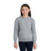 Port & Co Youth Core Fleece Crewneck Pocket Sweatshirt PC78YPKT