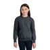 Port & Co Youth Core Fleece Crewneck Pocket Sweatshirt PC78YPKT