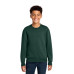 Port & Co Youth Core Fleece Crewneck Sweatshirt PC78Y