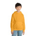 Port & Co Youth Core Fleece Pullover Hooded Sweatshirt.  PC90YH