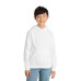 Port & Co Youth Core Fleece Pullover Hooded Sweatshirt.  PC90YH