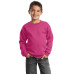 Port & Company - Youth Core Fleece Crewneck Sweatshirt.  PC90Y