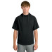 Richardson Charge Performance Fleece Short Sleeve Hoodie RA7200SSH