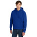 Champion Reverse Weave Hooded Sweatshirt S101 Champion Reverse Weave Hooded Sweatshirt S101