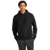 Champion   Reverse Weave   Hooded Sweatshirt S101