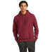 Champion   Reverse Weave   Hooded Sweatshirt S101