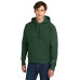 Champion Reverse Weave Hooded Sweatshirt S101 Champion Reverse Weave Hooded Sweatshirt S101
