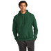 Champion   Reverse Weave   Hooded Sweatshirt S101