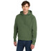 Champion Reverse Weave Hooded Sweatshirt S101 Champion Reverse Weave Hooded Sweatshirt S101