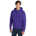 Champion Reverse Weave Hooded Sweatshirt S101 Champion Reverse Weave Hooded Sweatshirt S101