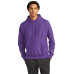 Champion   Reverse Weave   Hooded Sweatshirt S101