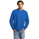 Champion   Reverse Weave   Crewneck Sweatshirt S149