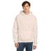 Champion  Powerblend Pullover Hoodie. S700