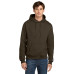 Champion  Powerblend Pullover Hoodie. S700