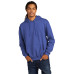 Champion  Powerblend Pullover Hoodie. S700