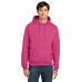 Champion  Powerblend Pullover Hoodie. S700