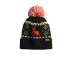 LIMITED EDITION Spacecraft Wild Pom Beanie SPC12