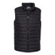Men's Powder Lite™ II Vest