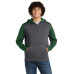 Sport-Tek  Tech Fleece Colorblock 1/4-Zip Hooded Sweatshirt. ST249