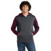 Sport-Tek  Tech Fleece Colorblock 1/4-Zip Hooded Sweatshirt. ST249