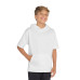 Sport-Tek  Youth Sport-Wick  Fleece Short Sleeve Hooded Pullover. YST251