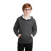 Sport-Tek Youth Drive Fleece Pullover Hoodie YSTF200