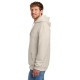 Port & Co Foundation Fleece Pullover Hooded Sweatshirt PC107H
