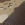 Desert Camo/ Brown