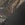 Mossy Oak Country DNA/ Black