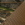 Realtree Max-7/ Buck
